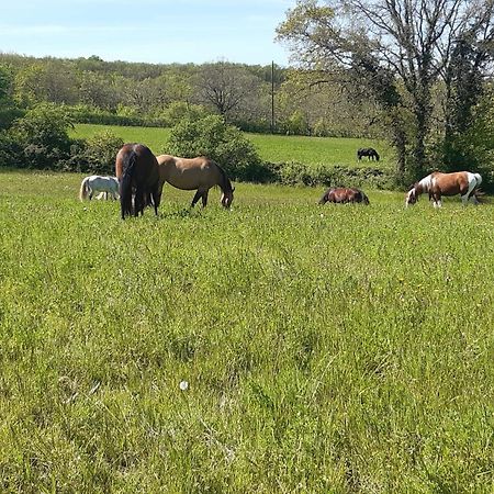 Ferme Brasseyrou - B&B Classique Devillac Bagian luar foto