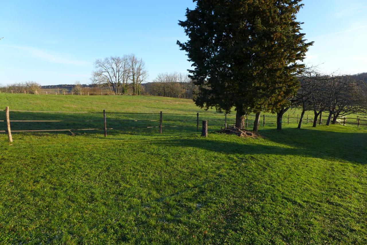 Ferme Brasseyrou - B&B Classique Devillac Bagian luar foto