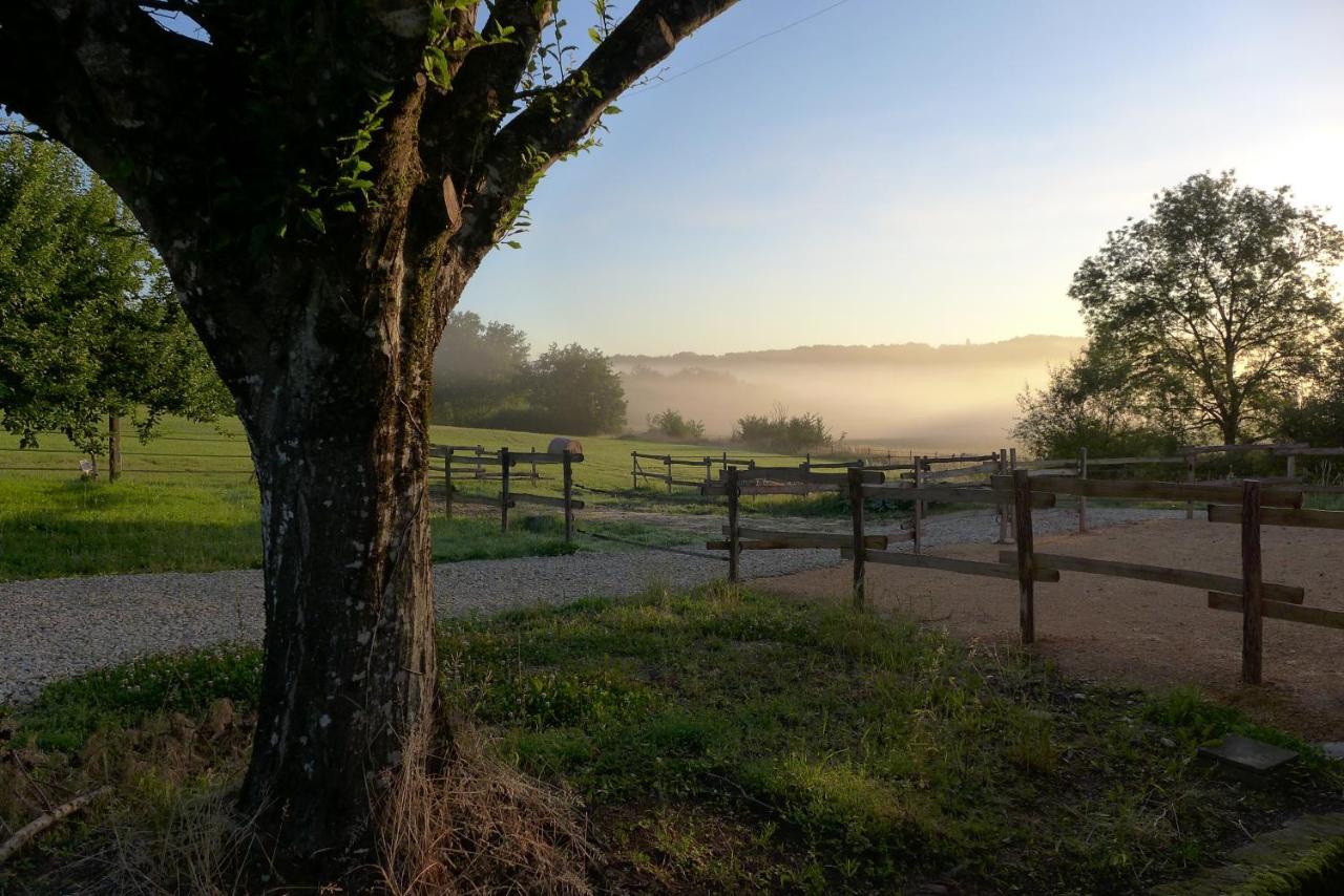 Ferme Brasseyrou - B&B Classique Devillac Bagian luar foto