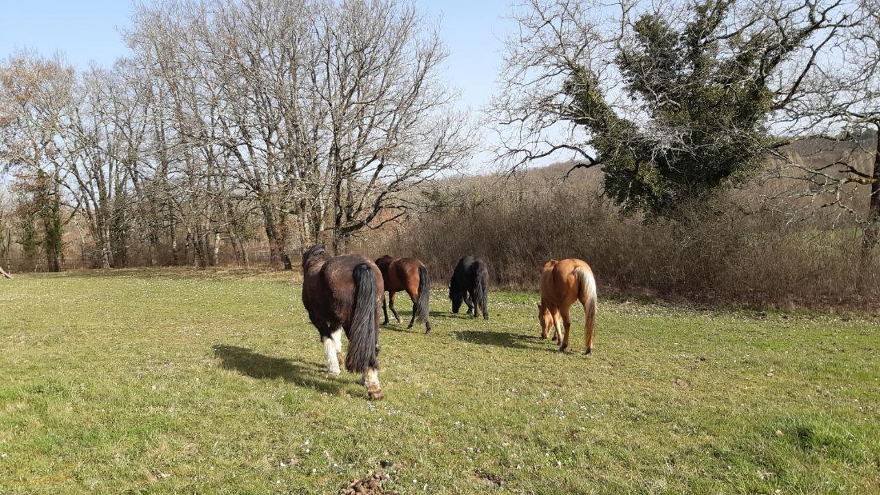 Ferme Brasseyrou - B&B Classique Devillac Bagian luar foto