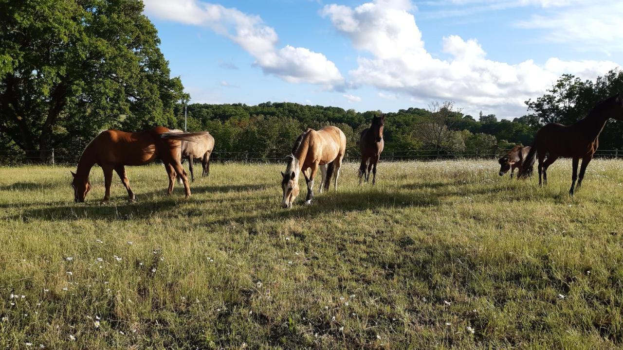 Ferme Brasseyrou - B&B Classique Devillac Bagian luar foto